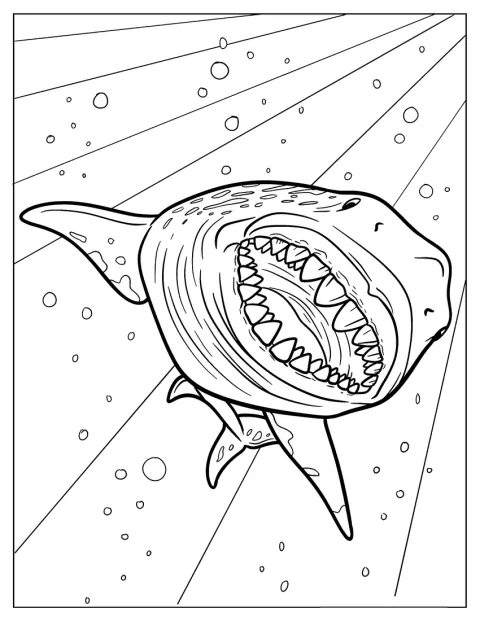 Een eenvoudige afbeelding toont een megalodon die onder water zwemt.
