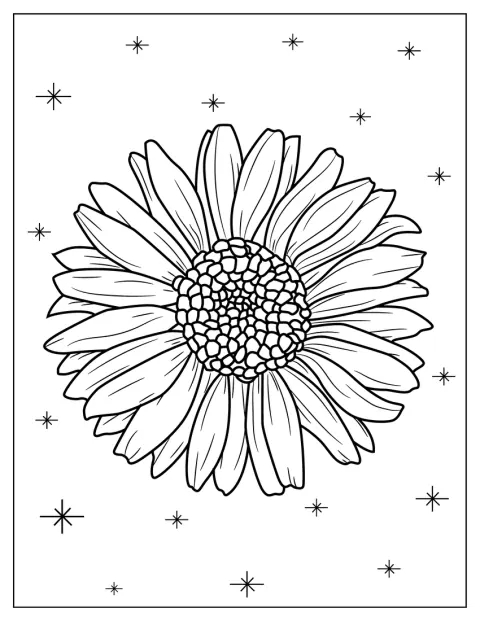 Ein einzelnes Gänseblümchen ist naturgetreu mit feinen Details dargestellt.
