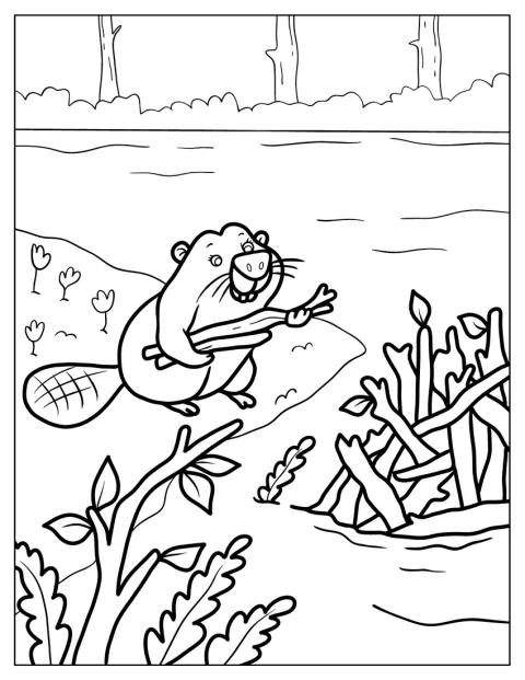 Un castor assemble des branches et des troncs pour bâtir un barrage.