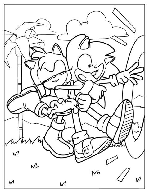 Amy Rose gir Sonic en varm klem.