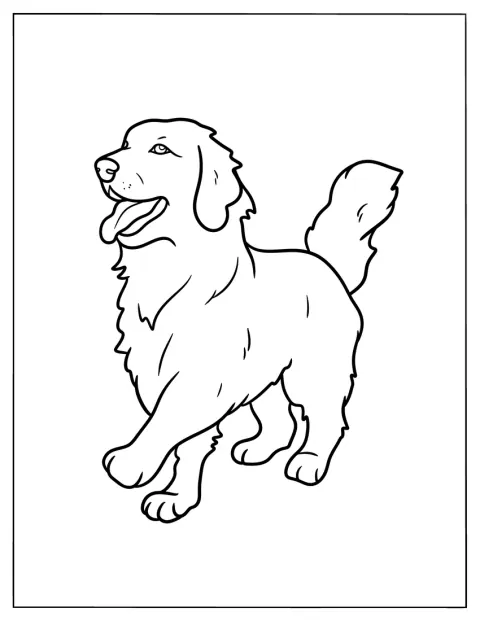 En stor golden retriever går av gårde.