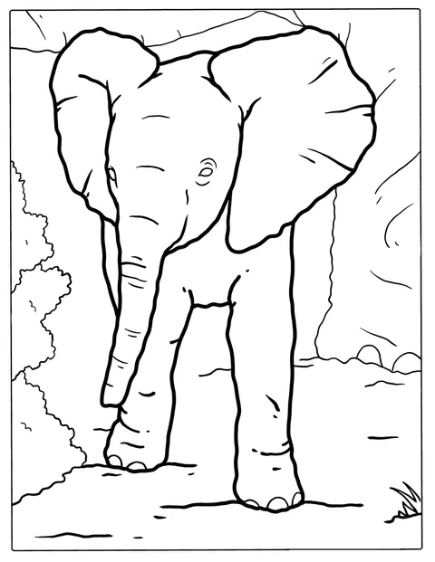 Baby Elephant Learning To Walk
