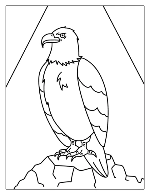 Easy Bald Eagle Perched On Rock Coloring In