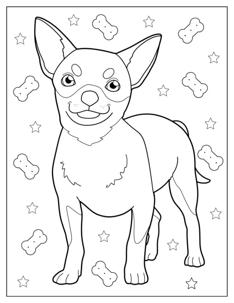 Un petit chihuahua est représenté assis, avec de grands yeux expressifs.