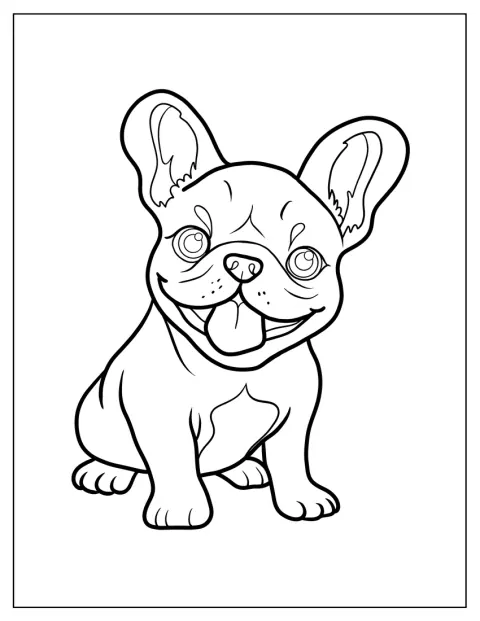 Egy apró francia bulldogkölyök ül kíváncsian.