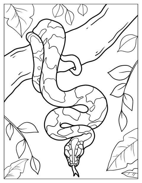Black-Headed Python Hanging From Tree