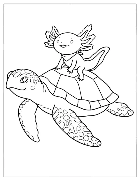 En axolotl sitter på ryggen til en havskilpadde.