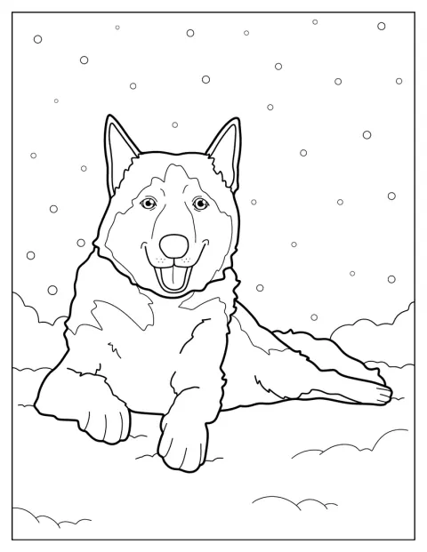 Husky stojí na zasněženém prostranství.
