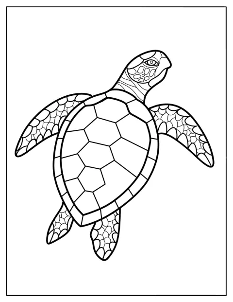 Una tartaruga nuota tranquillamente sott'acqua.