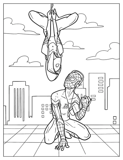 Spider-Gwen hängt kopfüber an einem Netz neben Spider-Man.