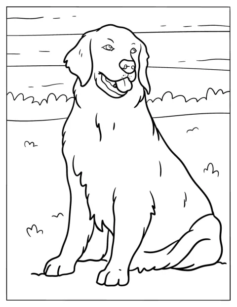 成犬のゴールデンレトリバーが、シンプルな線で描かれています。