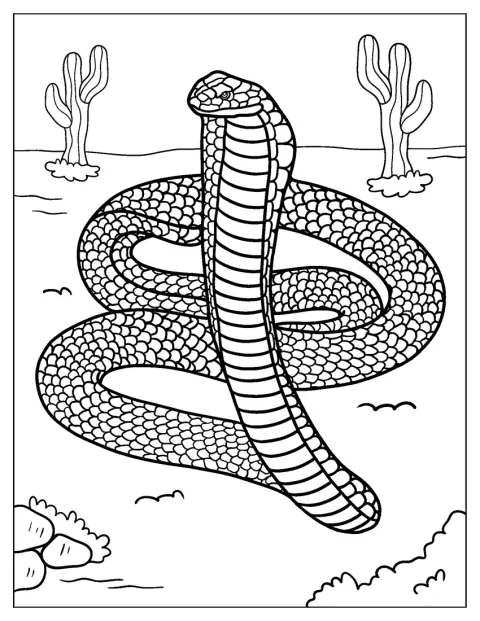 Un cobra royal est représenté seul.