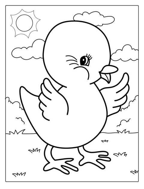 Un petit poussin duveteux regarde autour de lui.