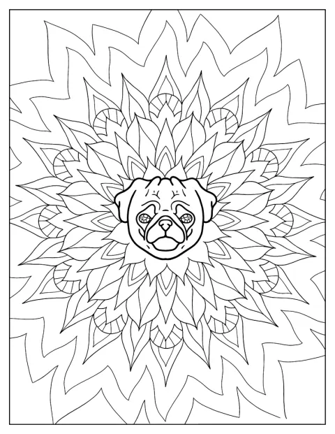 Il volto di un carlino è decorato con motivi intricati da mandala.