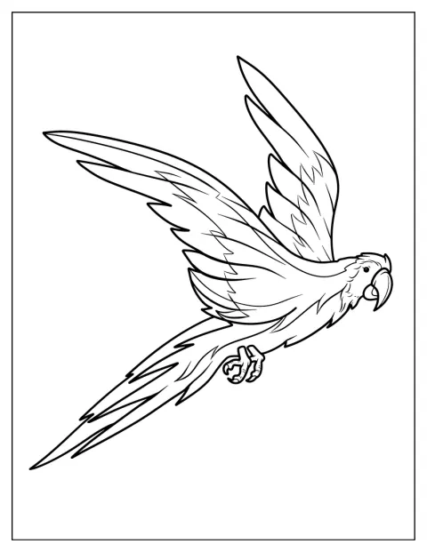 Un perroquet vole, ses grandes ailes largement déployées.