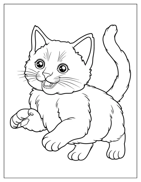 子猫が両方の前足を高く上げています。