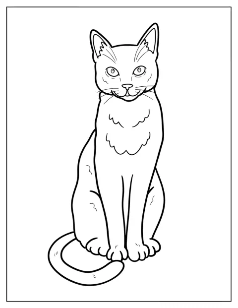 En katt sitter med ørene spisset oppover.