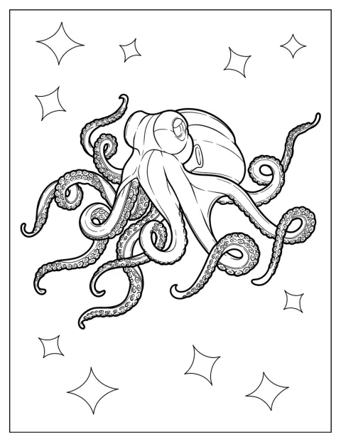 Realistic Smoothskin Octopus Coloring Page