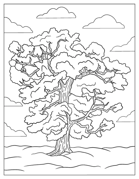 Un albero maestoso e secolare si erge con i suoi rami imponenti.