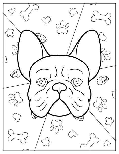 Un bouledogue français apparaît parmi des planètes et des étoiles.