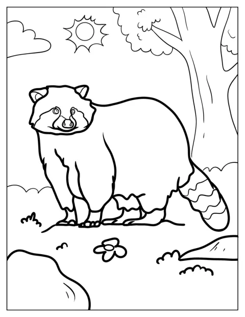 Adult Raccoon Coloring Page In A Forest