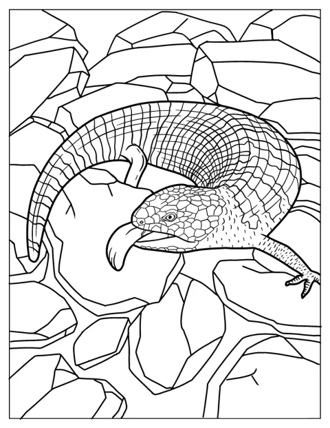 En blåtungeskink hvæser med munden åben.