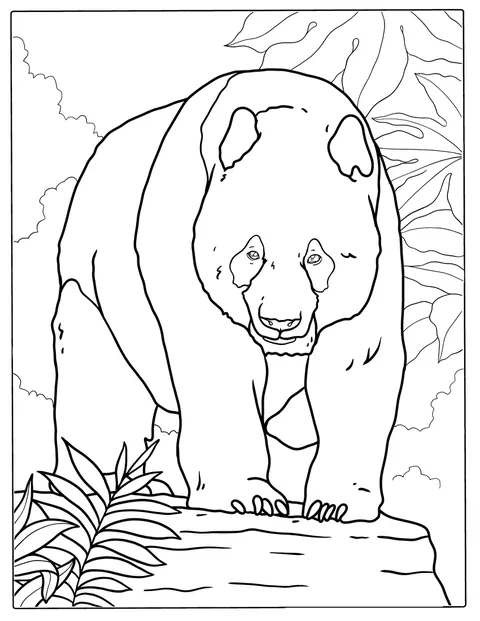 Um panda-gigante passeia entre plantas e árvores exuberantes da selva.