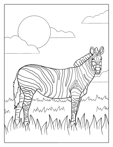 En zebra står alene på en åben mark.