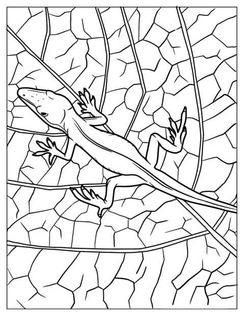 Lizard Coloring Page of Green Anole Lizard Camouflaging With Leaf