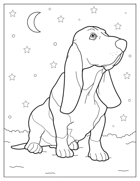 Basset Hound Looking Up
