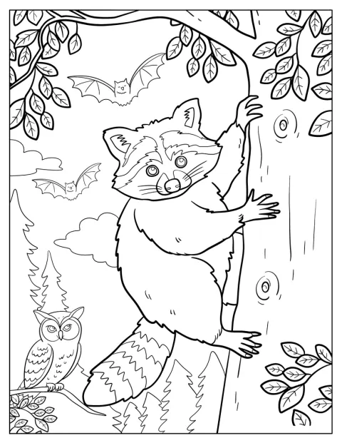 Realistic Raccoon Coloring Page Climbing Tree with Owl and Bats in the Background