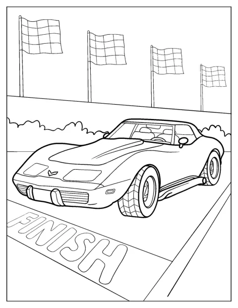 Sportowa Corvette o muskularnej sylwetce stoi z boku.