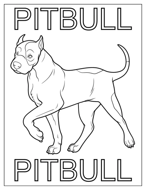 Et bilde av en pitbull står på et kort.