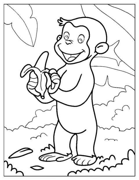 Sentado, George, O Curioso descasca e come uma banana.
