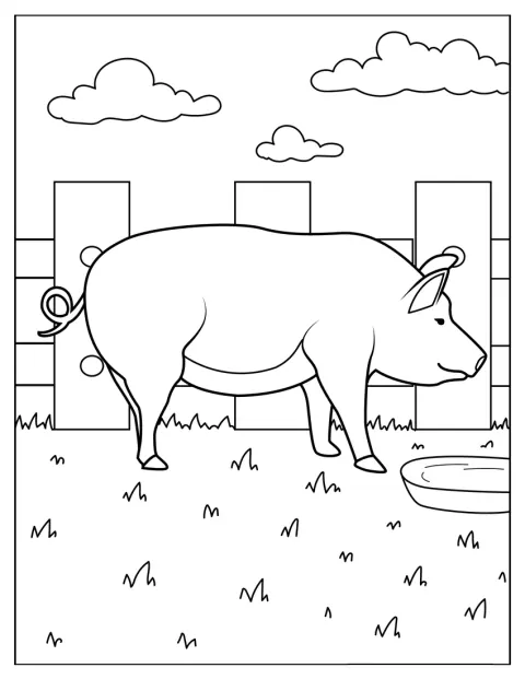 Un cerdo aparece en la granja.