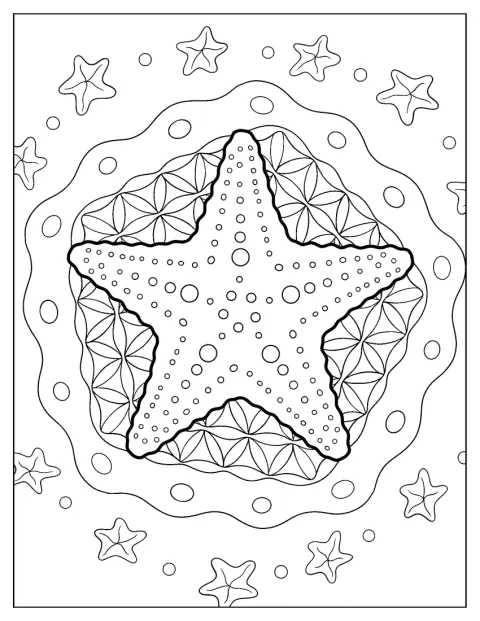 Ein Seestern-Motiv bildet ein einfaches, symmetrisches Mandala.