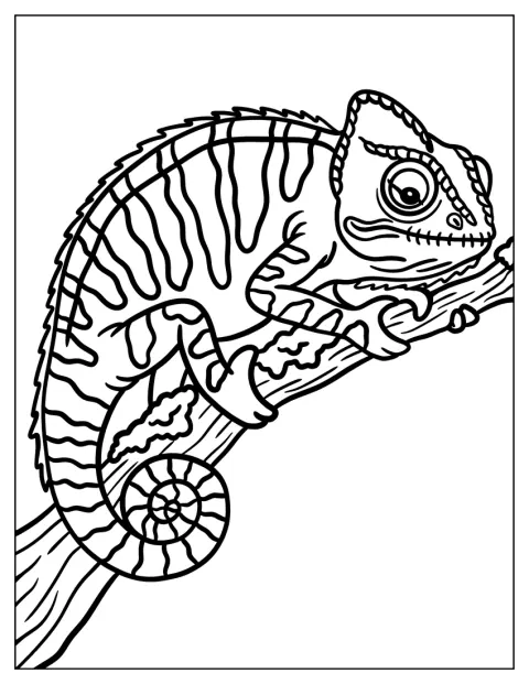 Kameleontti lepää puunoksalla häntä kiepillä.