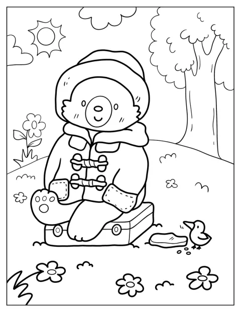 I parken sitter Paddington på sin resväska.