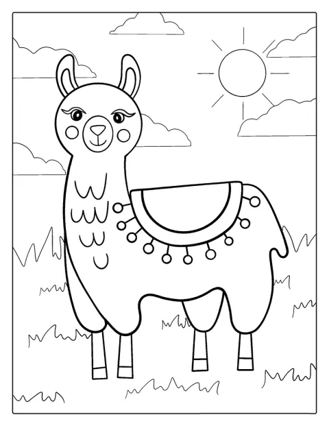 Lama stojí a dívá se před sebe.