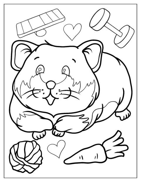 Un hamster rond et dodu est représenté de face.