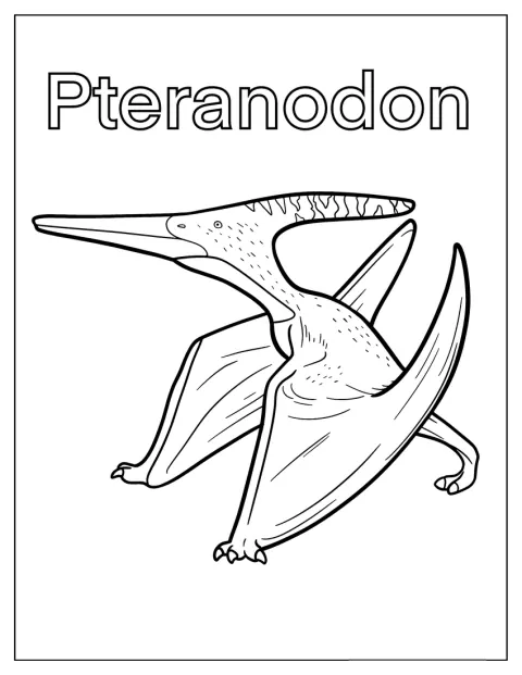 Pteranodon Dinosaur Coloring Page For Kids