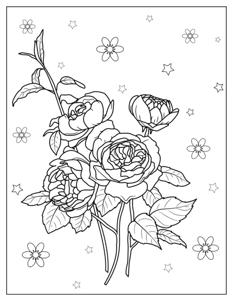 Assorted Wild Roses To Color