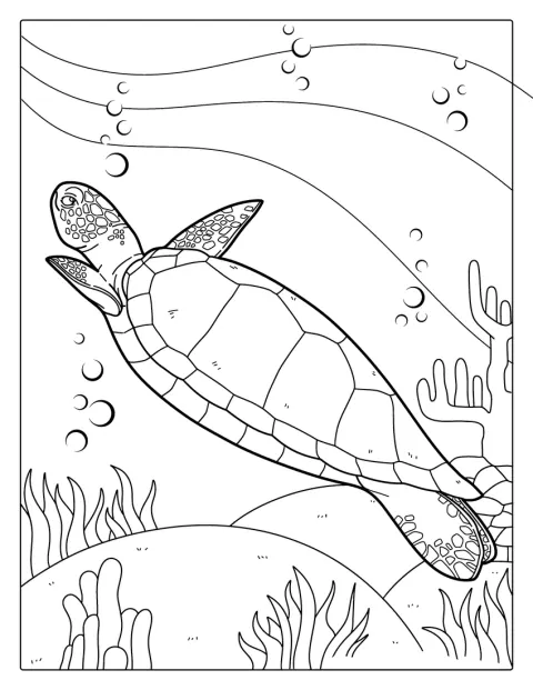 Une tortue nage dans les eaux du Pacifique.