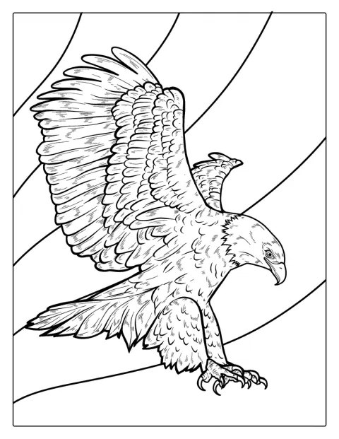 Un águila calva se lanza en picado con las alas extendidas.