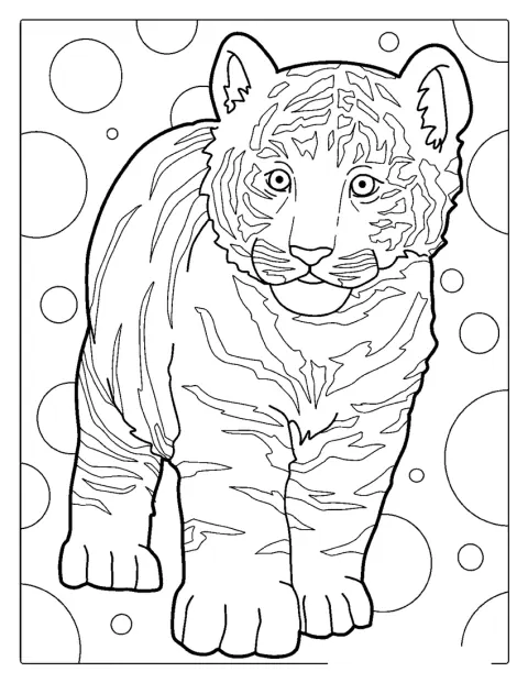 Um tigre bebé está rodeado por círculos decorativos.
