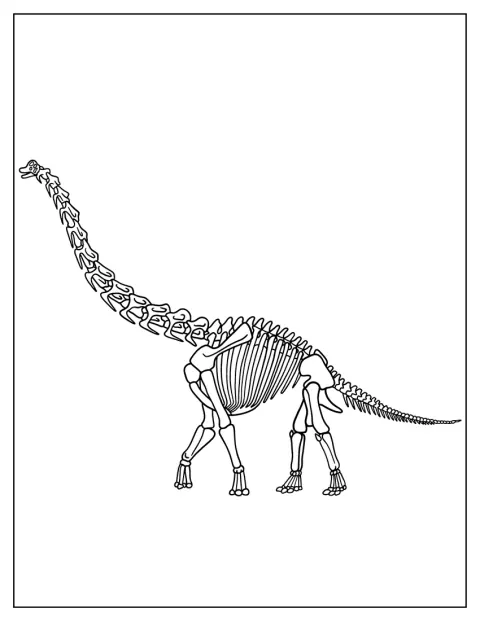 Brachiosaurus Skeleton