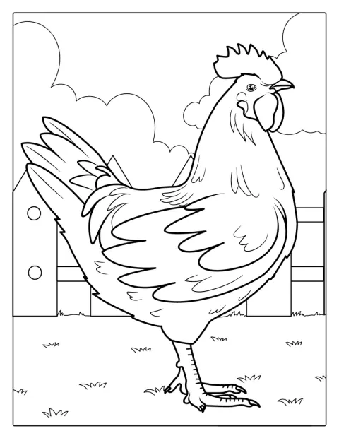 Un gallo de granja aparece de pie con su cresta y sus plumas.