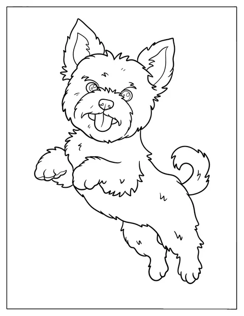 Ein aufgeregter Yorkie hüpft voller Energie in die Luft.