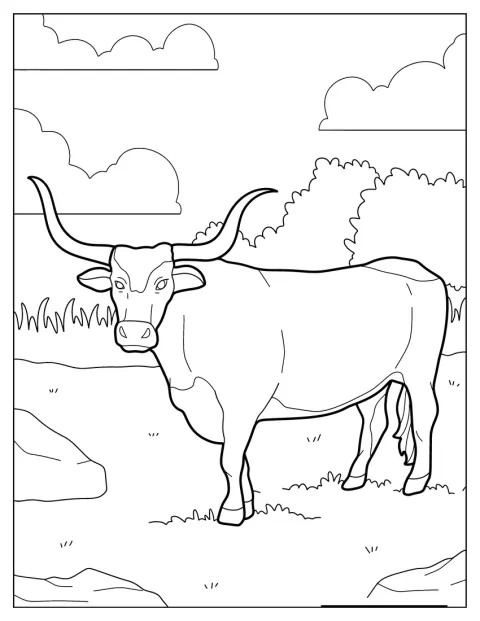 En Texas Longhorn står på en åben mark.
