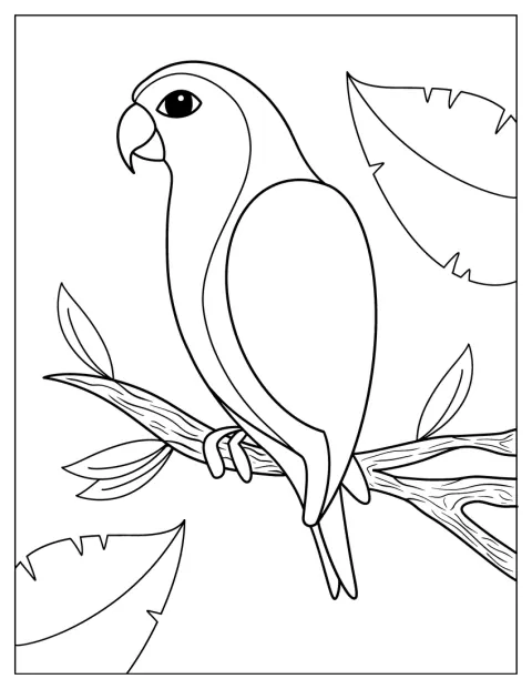 Simple Outline Of Parrot To Color